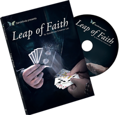 Leap of Faith by SansMinds