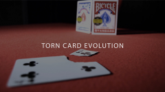Torn Card Evolution by Juan Pablo
