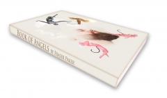 The Book of Angels by Fraser Parke-r