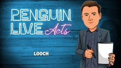 Looch Pengui-n Live Act
