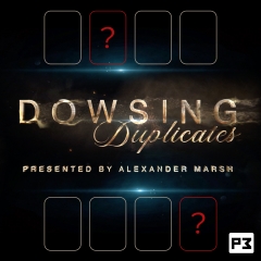 Dowsing Duplicates by T.J. Osbourne